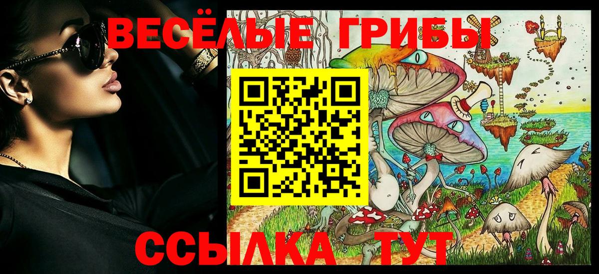 Астрахань  Галлюциногенные грибы ЛСД  Галлюциногенные грибы мицелий  Вход с VPN 