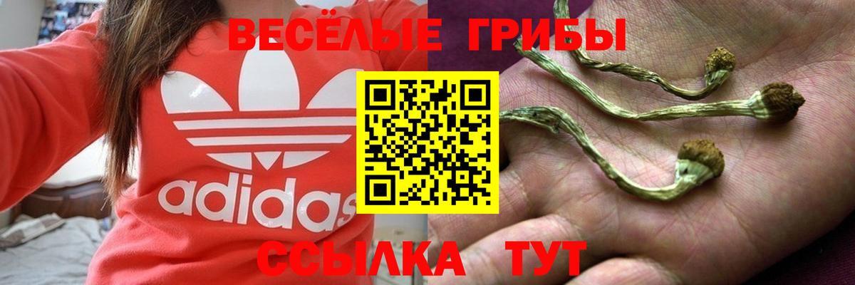 Галлюциногенные грибы мицелий Астрахань